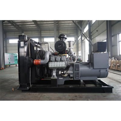 200kw威曼柴油發(fā)電機(jī)組-威曼6缸柴油機(jī)D11A2柴油發(fā)電機(jī)組,缸徑/行程：128/142mm,柴油發(fā)電機(jī)組水冷發(fā)動(dòng)機(jī)功率264KW,柴油發(fā)電機(jī)組配套馬拉松斯坦福發(fā)電機(jī)。廠價(jià)直銷歡迎選購：13773399855。